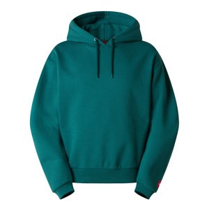 The North Face M REDBOX HOODIE  1KI