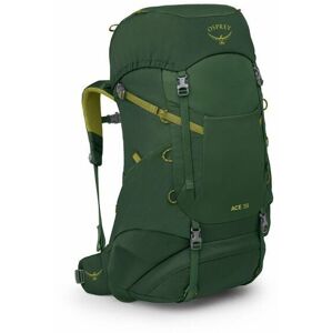 Osprey ACE 38 green canopy/matcha green