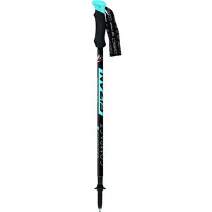 Hole FIZAN COMPACT Blue trekingové palice